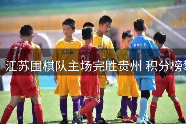 江苏围棋队主场完胜贵州 积分榜攀升至前三